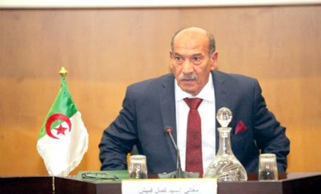 فنيش: تغيير المجلس الدستوري إلى المحكمة الدستورية خلال سنة