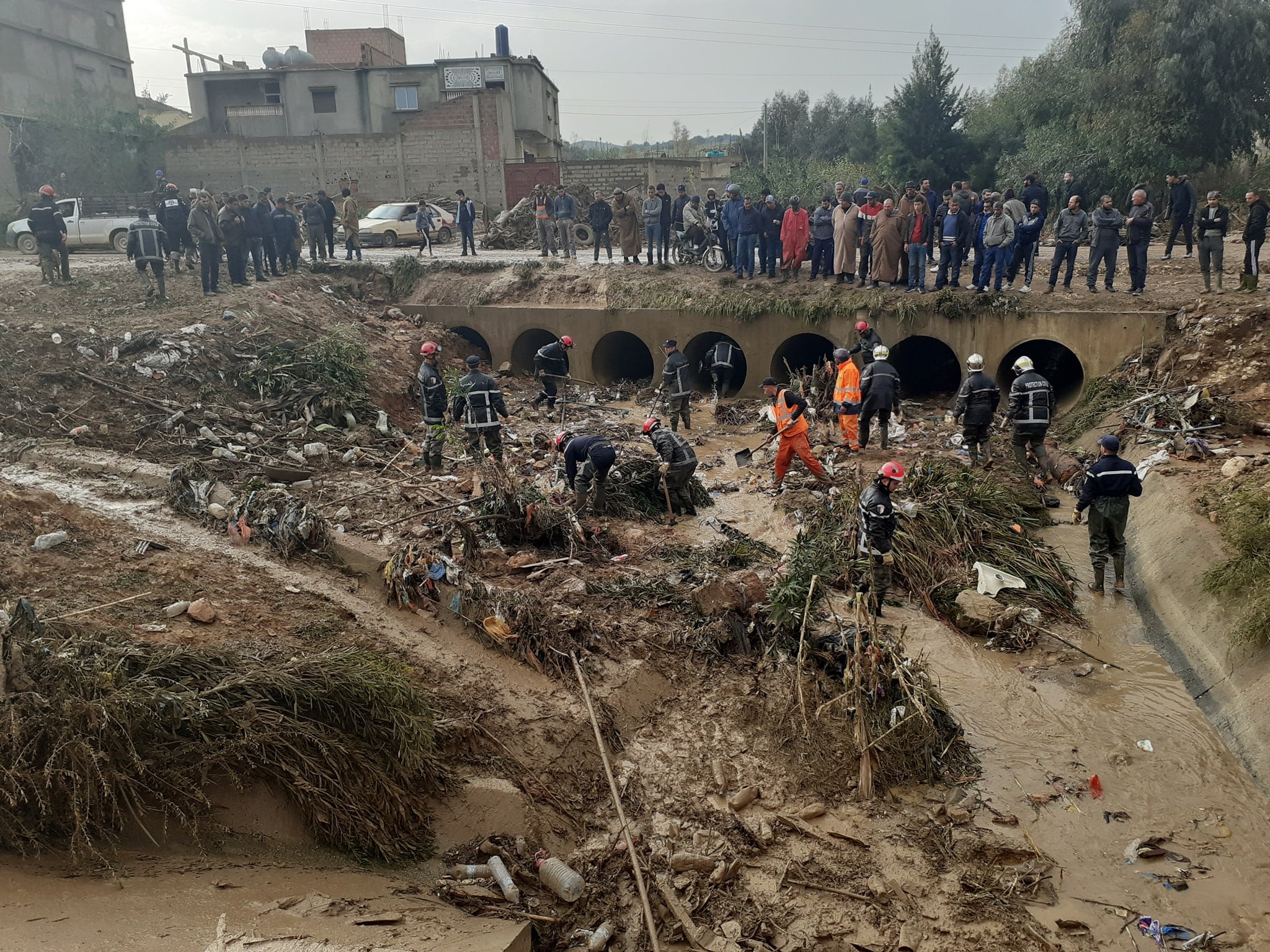 مندوب المخاطر الكبرى بوزارة الداخلية: كمية الأمطار المتساقطة هي سبب كارثة واد مكناسة بالشلف