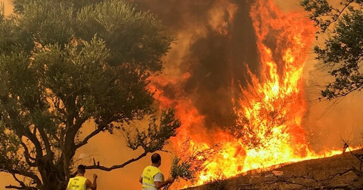 هذا ما جاء في بيان الدرك الوطني بشأن التحقيقات الخاصة بحرائق الغابات