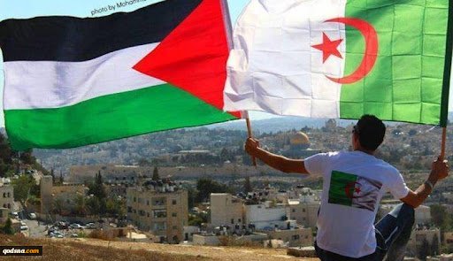 حماس ترحب بدعوة الرئيس تبون للفصائل الفلسطينية