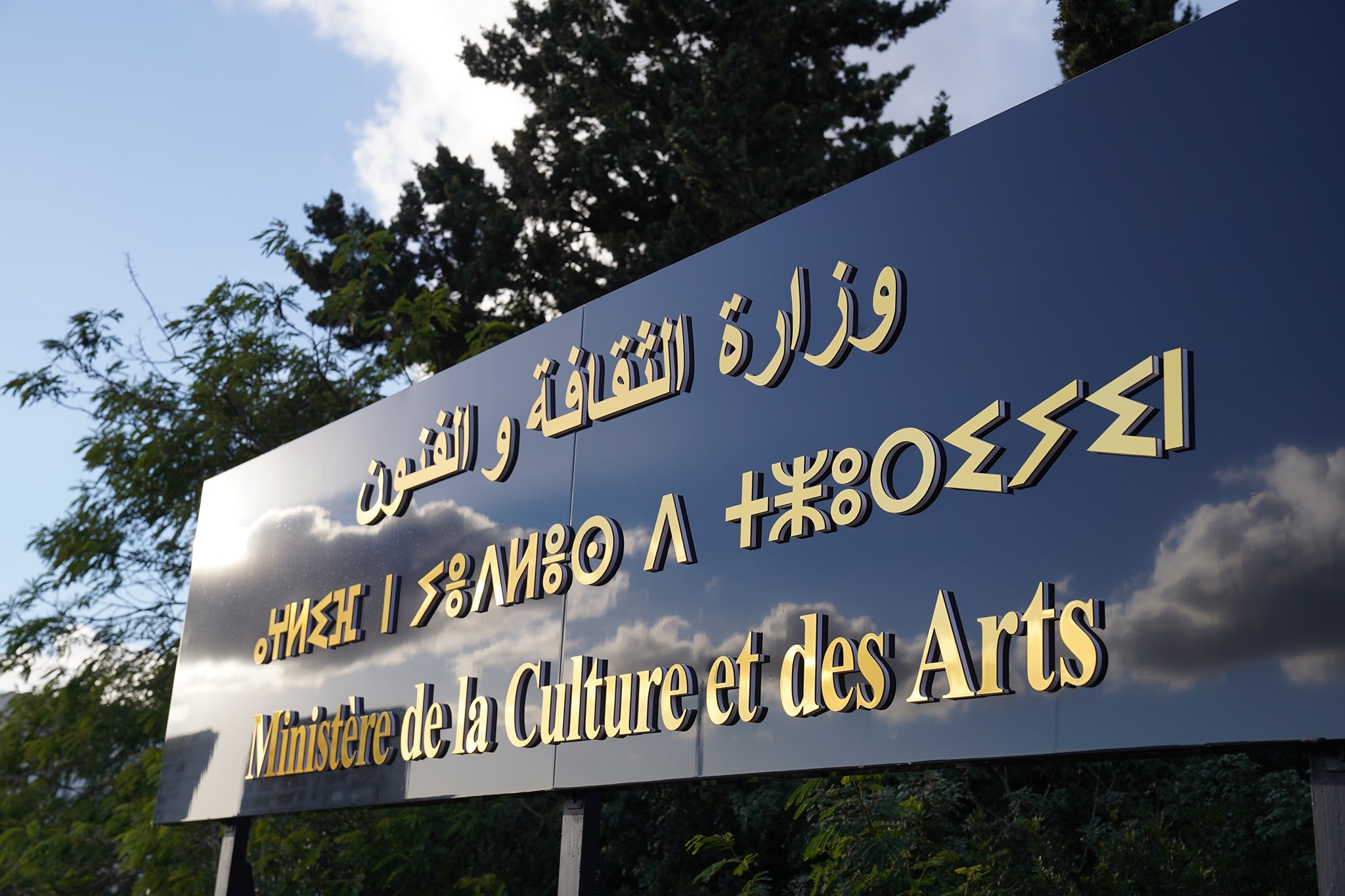 وزارة الثقافة تطلق منصات رقمية لإبراز المواهب الشبانية