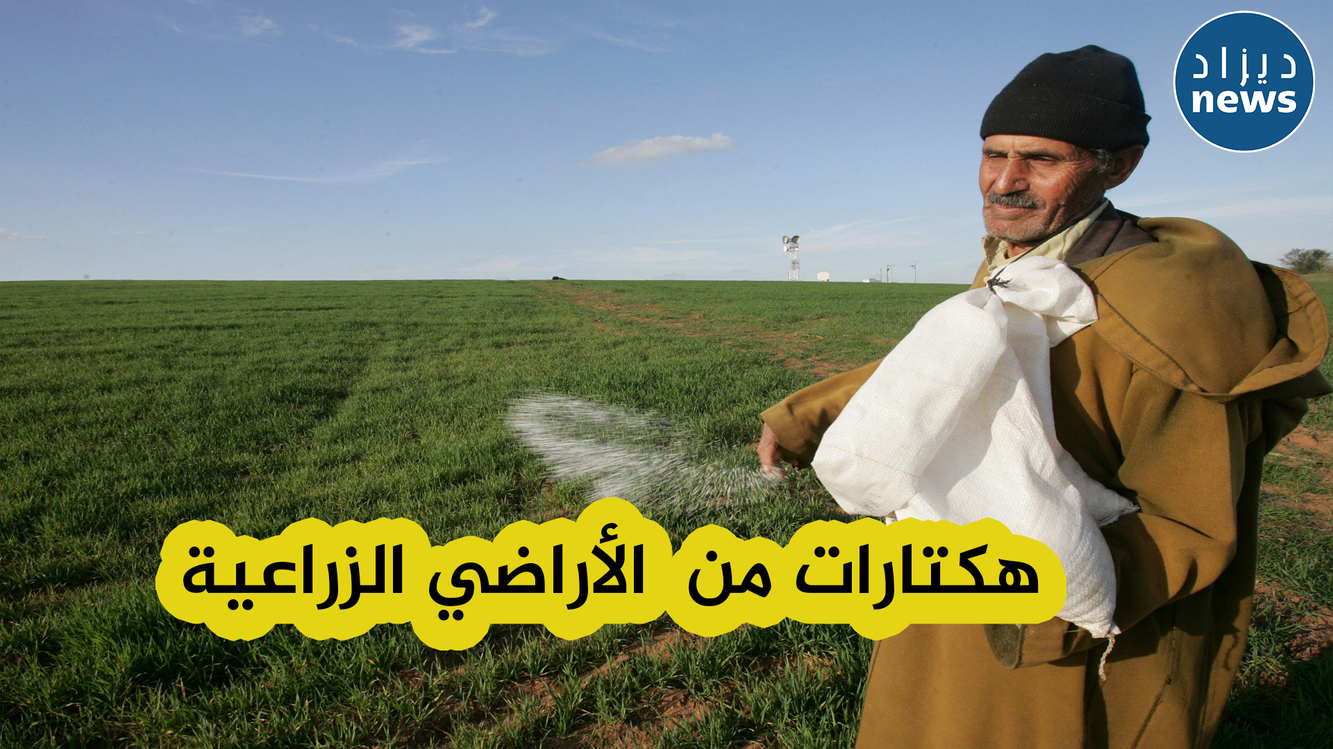 تخصيص 97 ألف هكتار من الأراضي الزراعية لأجل تطوير زراعة القمح ومختلف الحبوب
