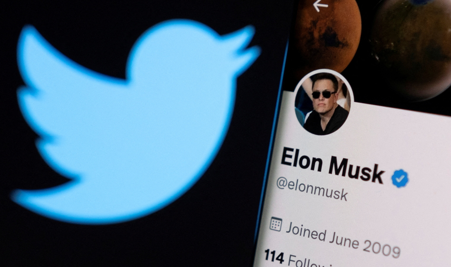 تويتر يعيد شعار الطائر الأزرق بعد أن قام إيلون ماسك بتغييره