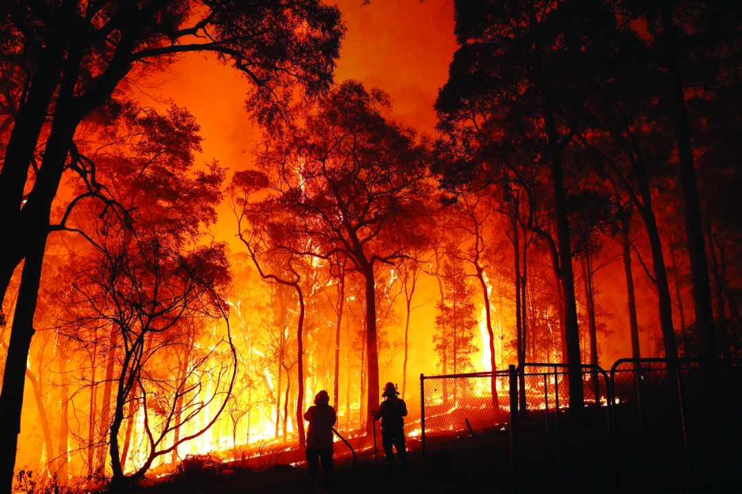 أكثر من 288 هكتارا من الغابات إحترقت منذ بداية فصل الصيف