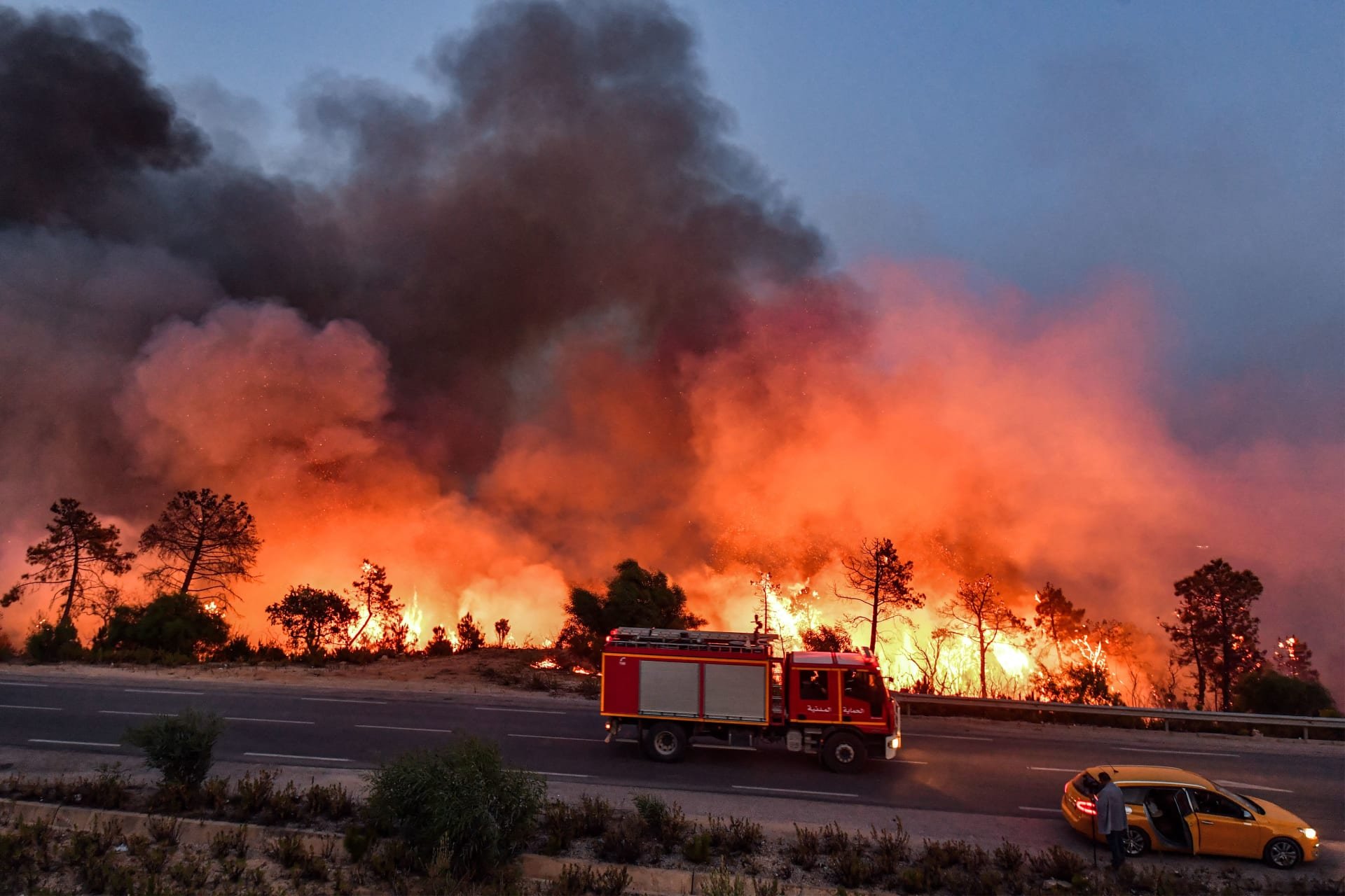 الحرائق المسجلة خلال عام 2023 تتسبب في إتلاف أكثر من 41 ألف هكتار من المساحات الغابية