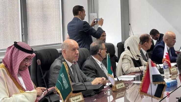 وزير الصحة يشارك في أشغال المكتب التنفيذي لمجلس وزراء الصحة العرب